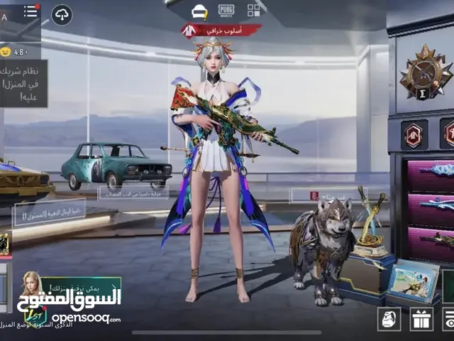 Pubg Accounts and Characters for Sale in Farwaniya