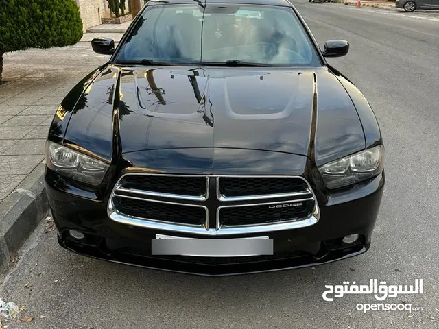 Used Dodge Charger in Amman