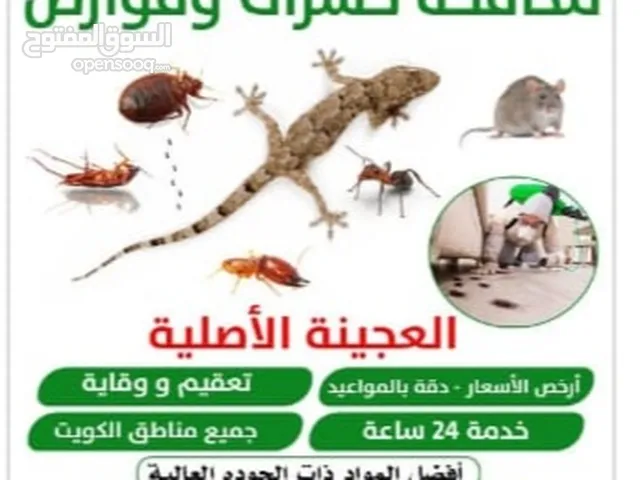 مكافحة جميع الحشرات والقوارض جميع مناطق الكويت