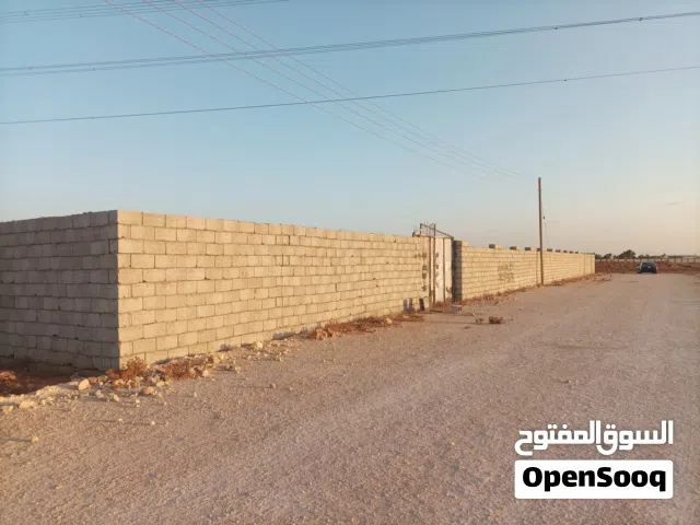 ربع هكتاار فل طلحيه