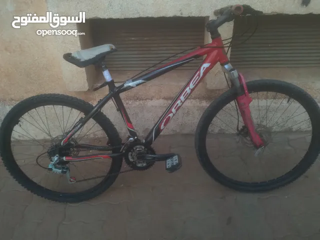 فيلو للبيع فقط في الجزائر العاصمة