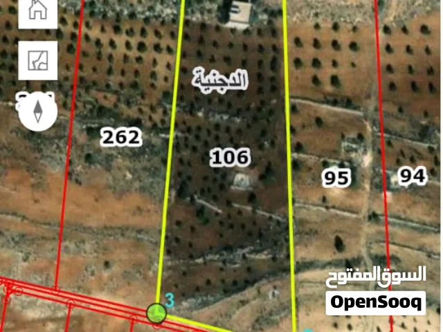 Mixed Use Land for Sale in Mafraq Al-Dajaniya
