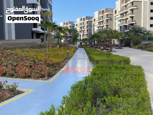 فيو الاهرامات