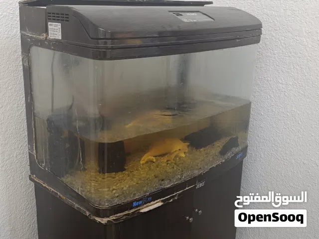 حوض سمك حجم كبير وسمكة الببغاء وشاملة خزانة