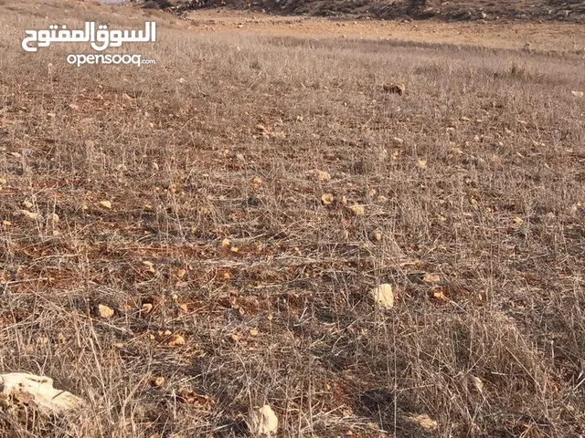 للمستثمرين 1000 دونم في ابو الحصاني اراضي جنوب عمان قطعه مميزه شرق الشارع الدولي بسعر مغري