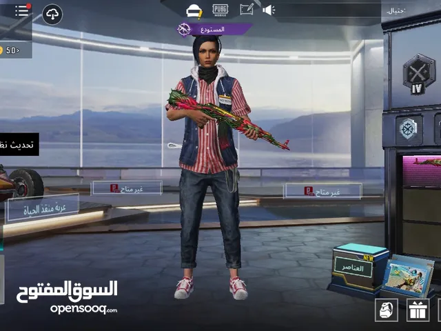 Pubg Accounts and Characters for Sale in Al Karak