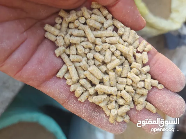 بذور + سمسم + أعلاف للدواجن والاغنام
