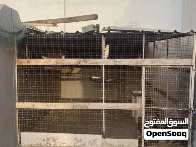 القصف كبير