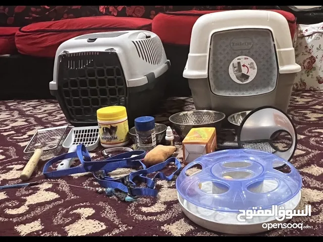 للبيع مستلزمات قطط