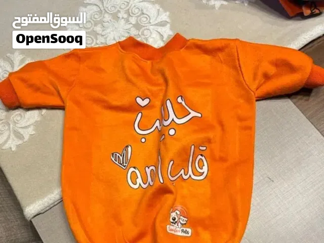 اكسسوارات كلب سن سنتنين من نوعية بيكنواه