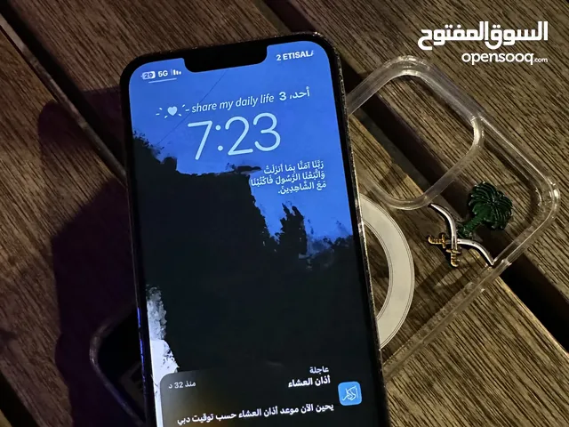 iPhone 13 Pro 256 GB