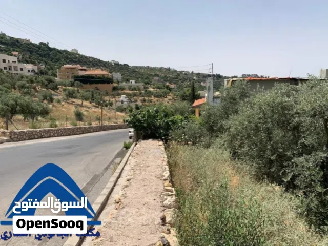 نص دونم في ماحص اول الميدة أجمل اطلالة