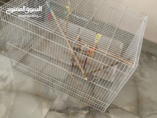 قفص بغبغاء كبير مع العاب خاصة بالطيور