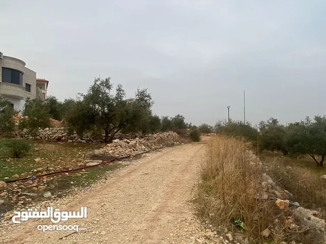 ارض للبيع نابلس_طلوزه