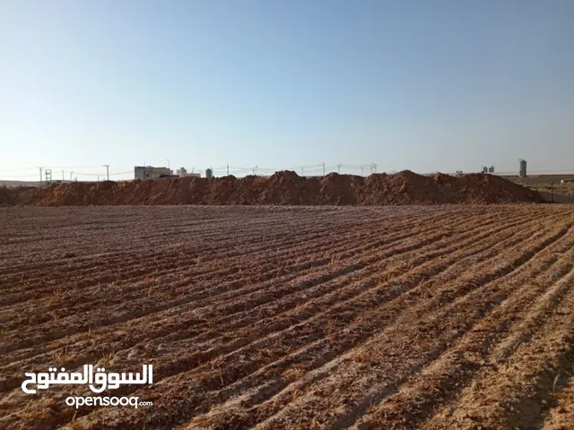 Farm Land for Sale in Amman Al-Thuheir