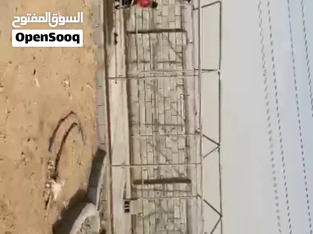 خيمة امارتية