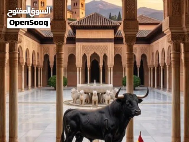 Spanish Lessons for Beginners دروس لغة إسبانية للمبتدئين