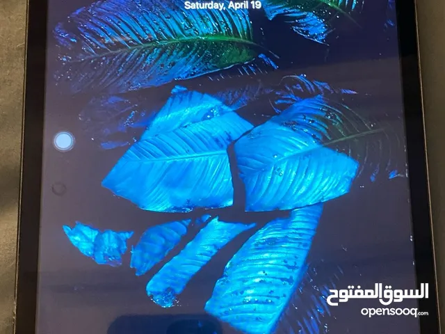 ايباد ميني