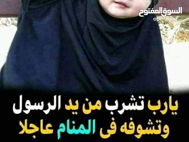 أبوعمر