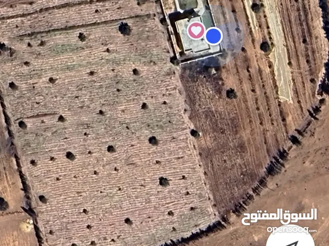 عرض للتجار والمستثمرين وأصحاب الشركات والمصانع