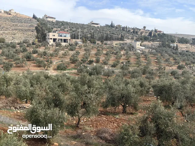 4 Bedrooms Farms for Sale in Jerash Dahl