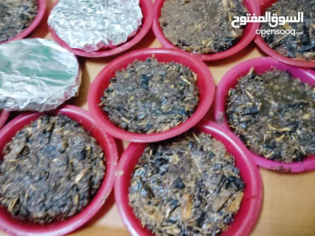 بخور عدني بصناعة مأربية فاخر من الآخر