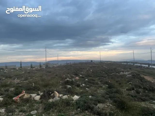 ارض اجنسنيا