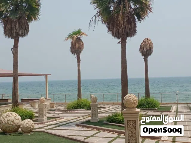 ابو ناصر لصيانه النخيل والخلعه وزراعه النخيل وازاله النخيل الغير مثمره