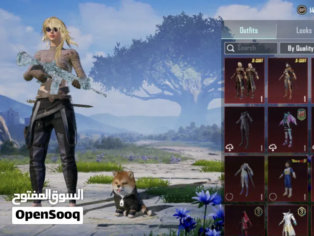 Pubg Accounts and Characters for Sale in Benghazi