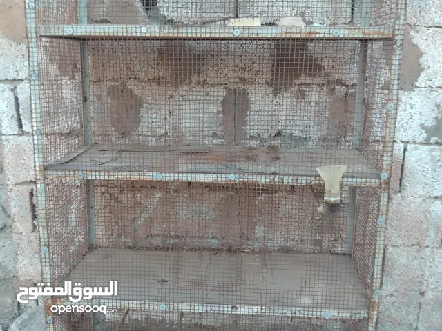 مصراته/ اقفاص عصافير و ببغاء حديد مشاءالله تبارك الله حجم كبيييير سعر ساوم