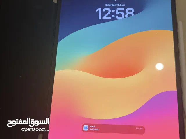 ايباد برو M4 2024