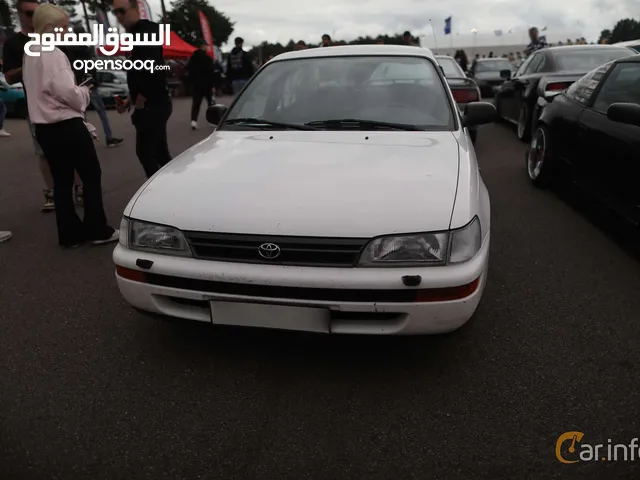 New Toyota Corolla in Basra