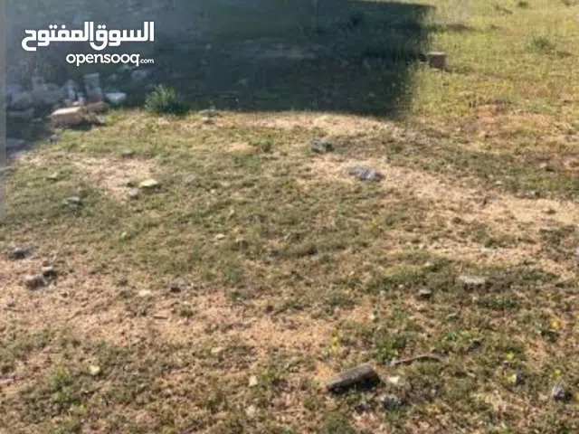 ارض للبيع طريق المطار شارع الملاهي