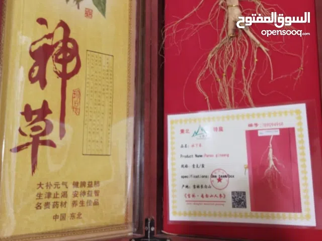 Very Special and rare Gingsen root.