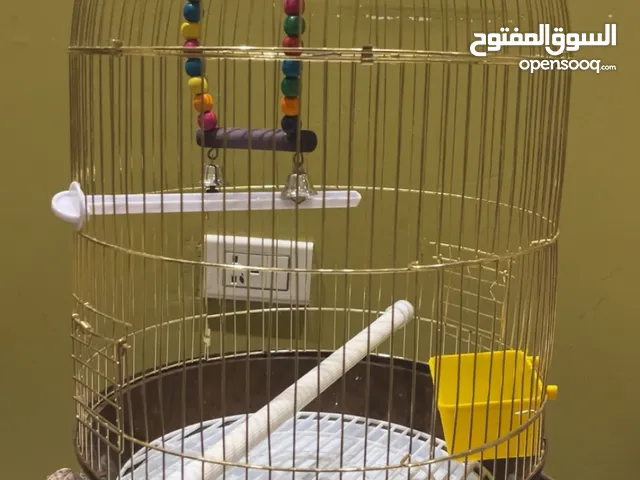 قفص عصفور ذهبي