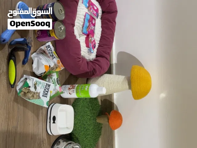 لوازم وقفص وطعام وسرير وتراب قطط