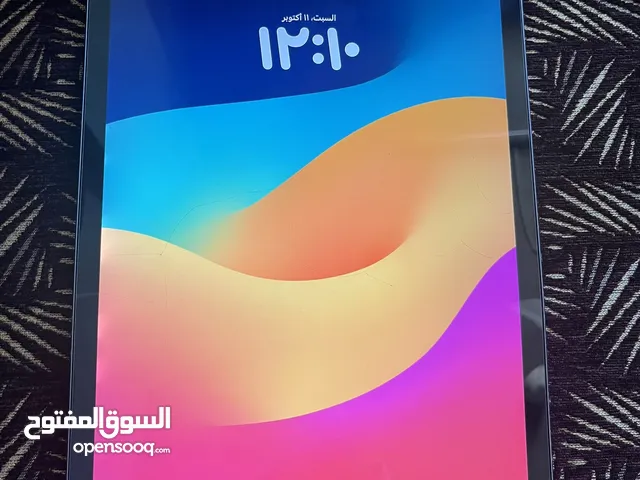 Apple iPad pro 2 64 GB in Al Ain