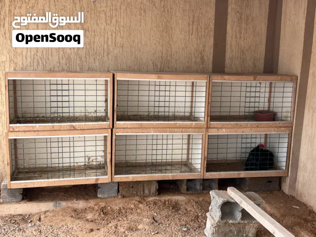 ابرتيات للبيع العرض نص ميترو اطول ميترو
