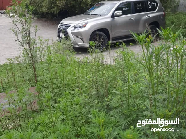 Used Lexus GX in Ibb