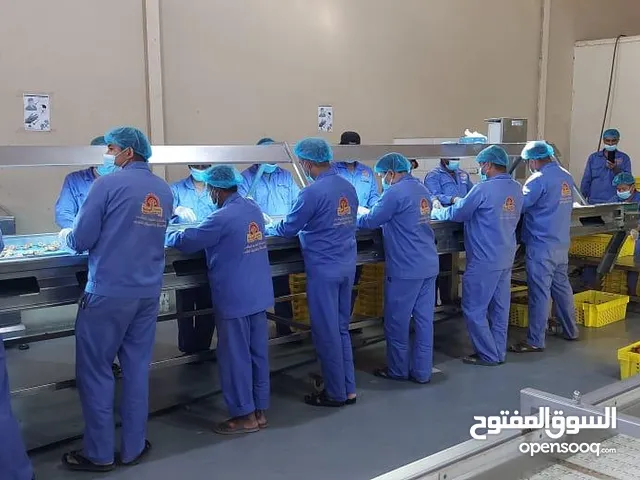 شركة إدارة مرافق