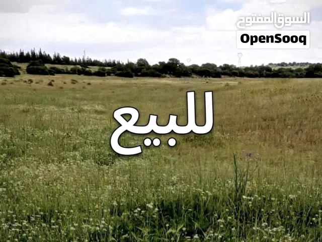 Farm Land for Sale in Kairouan Other