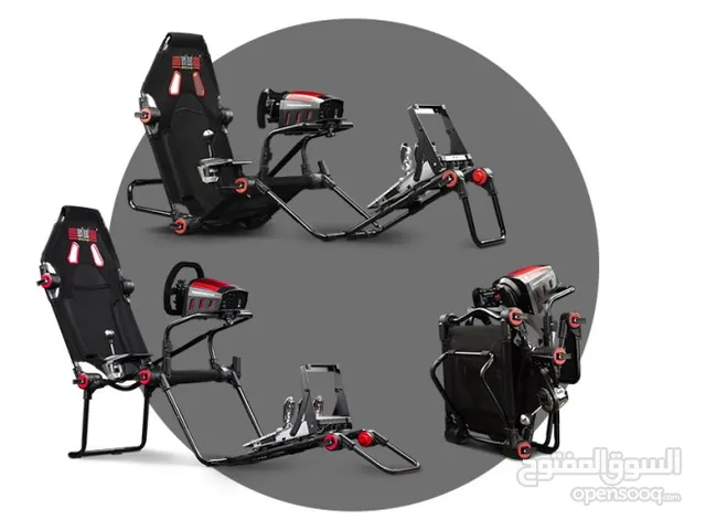 NEXT LEVEL RACING F-GT LIGHT