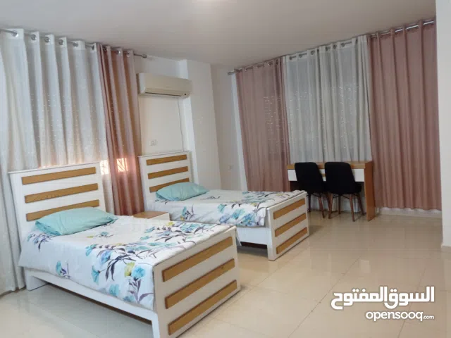Furnished Monthly in Nablus Northern Mount