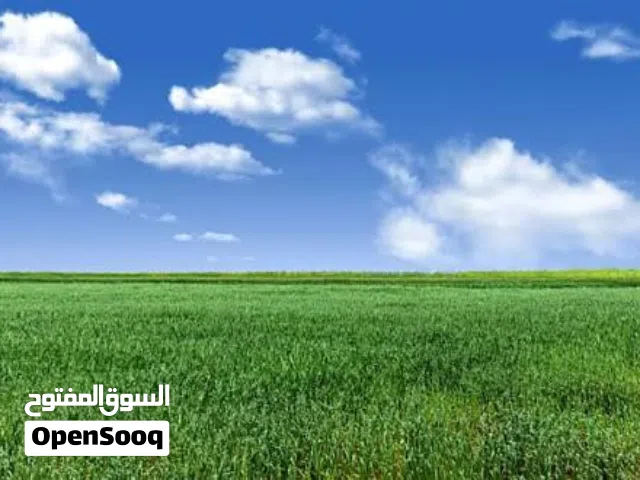 Farm Land for Sale in Jerash Amamah