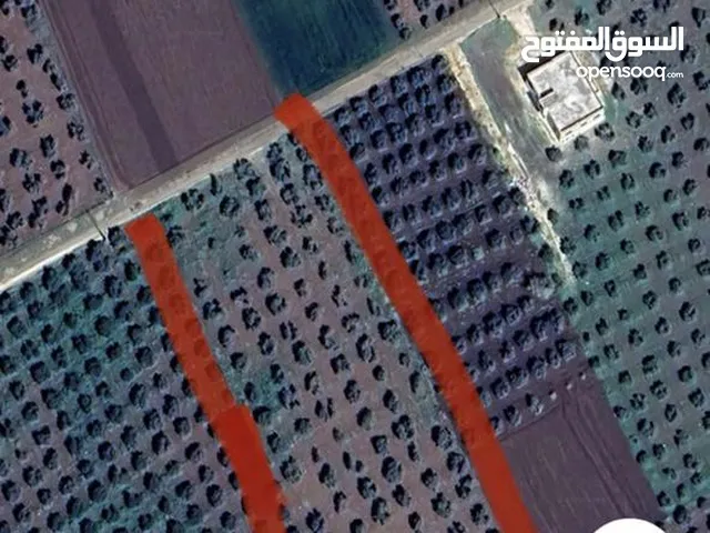 Mixed Use Land for Sale in Irbid Hakama