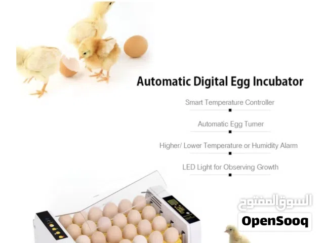 incubator  for egg