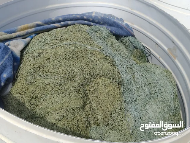لياخ صيد عشاريات