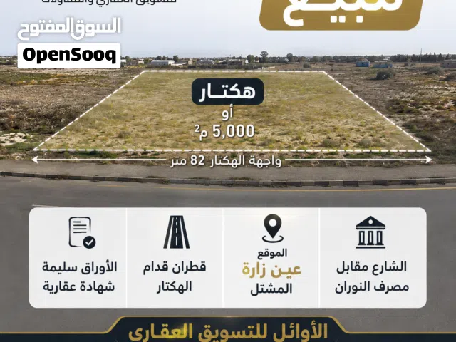 هكتار أو 5 متر للبيع طريق مشتل عين زارة