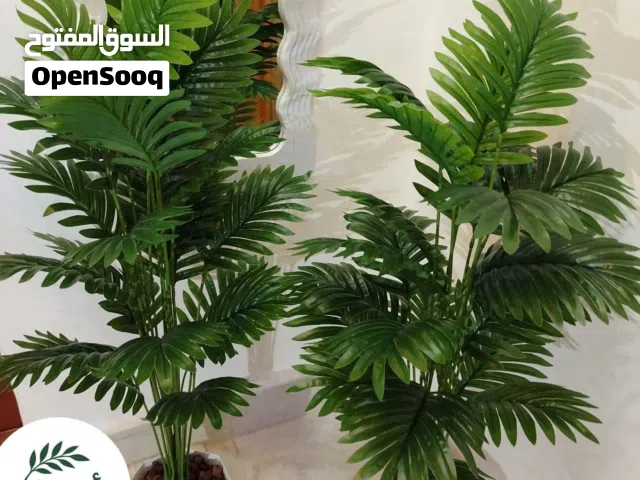 شجره الاريكا الصناعي للبيع