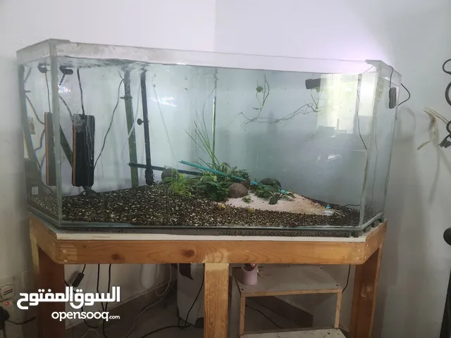 Aquarium's